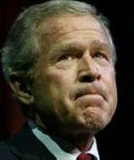 BUSH