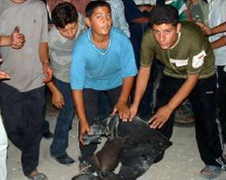 Palæstinensiske drenge i Gaza, hvor israelske helikoptere angreb. - Foto: AP 