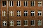 Foto: Thomas Borberg 