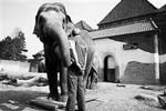 Coco døde kun 17 år gammel. - Foto: Toke Hage Dragsbæk 