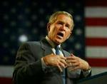 Bush beder igen Kongressen om penge. - Foto: AP 