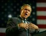 BUSH