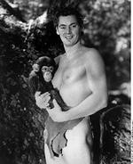 Cheeta i sin storhedstid sammen med Tarzan. - Arkivfoto: Cinetext 