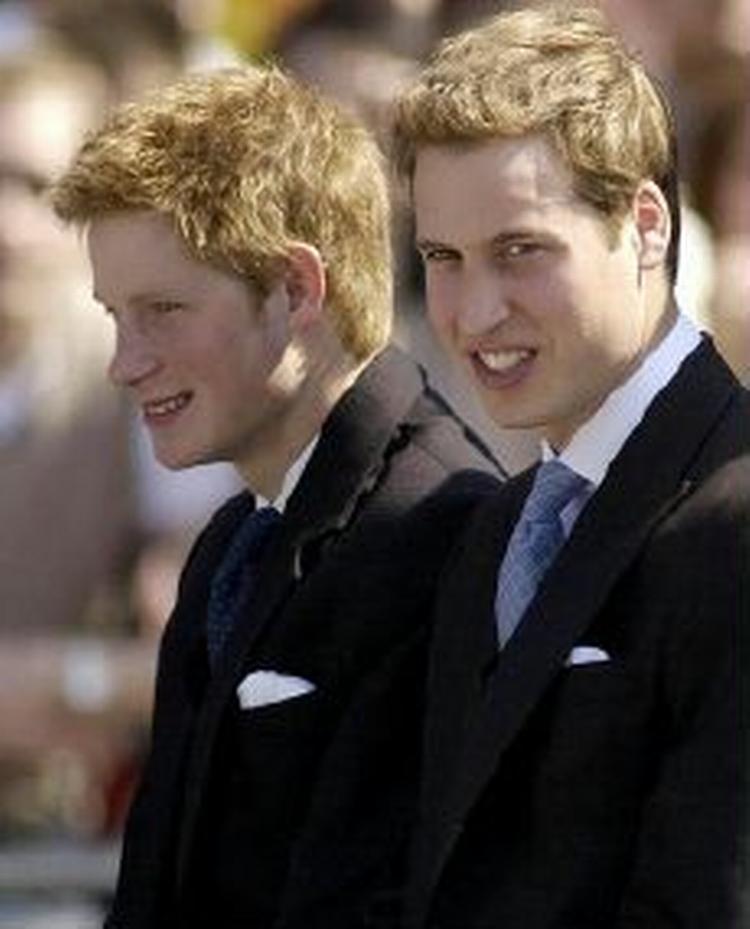 Prinsesse Dianas sønner Harry (t.v.) og William er vrede over, at deres mors butler har skrevet en bog om hendes privatliv. - Foto: AP 