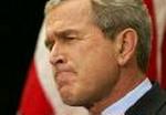 BUSH