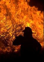 Brandene i Californien, USA, har nu kostet tyve mennesker livet. Deriblandt en brandmand. - Foto: AP 