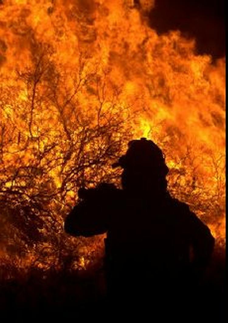 Brandene i Californien, USA, har nu kostet tyve mennesker livet. Deriblandt en brandmand. - Foto: AP 