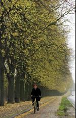 - Foto: Jens Dresling 