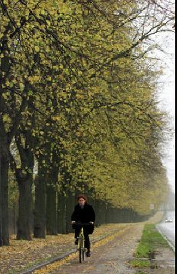 - Foto: Jens Dresling 