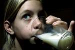 Arla Foods har siden 1999 stået for 93 procent af mælkesalget i Danmark. - Foto: Thomas Borberg 