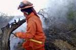 CALIFORNIA WILDFIRES INMATES