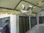 IRAQ