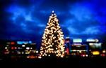 Juletræet bliver traditionen tro tændt af julemanden og Københavns Brandvæsen. -Foto: Finn Frandsen 