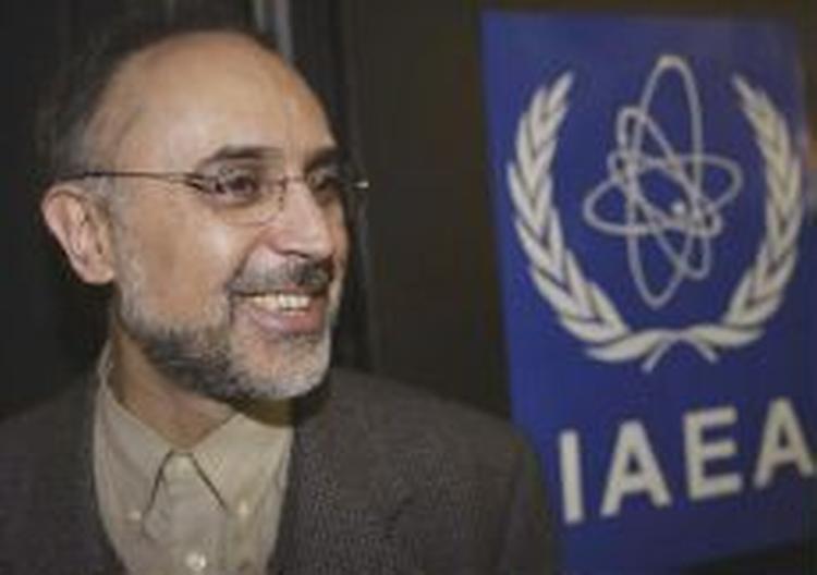 En smilende leder af den iranske delegation, Ali Akabar Salehi, forlader IAEAs hovedkvarter i Wien. - Foto: AP 