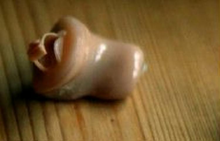 Den voldsomme stigning i uddeling af høreapparater har ført til en budgetoverskridelse på fem mio. kr. - Foto: Johnny Frederiksen 