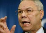 'De palæstinensiske topledere skal forpligte sig til at stoppe terrorismen', siger Colin Powell. - Foto: AP 