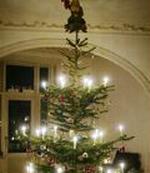 Juletræ
