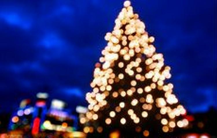 Julefred? Javist, men pas på! - Foto: Finn Frandsen 