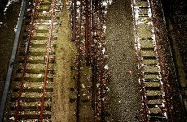 Der vil i fremtiden komme flere københavnerpendlere, fordi mange flytter ud mod Holbæk og andre nordvestsjællandske kommuner, hvor husene er billigere. - Foto: Martin Zakora 