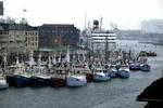 Fiskerne har bebudet, at de vil dele gratis fisk ud i Havnegade i dag og igen torsdag klokken 12. - Foto: Jacob Ehrbahn 