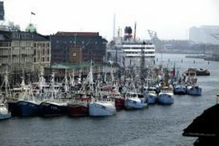 Fiskerne har bebudet, at de vil dele gratis fisk ud i Havnegade i dag og igen torsdag klokken 12. - Foto: Jacob Ehrbahn 