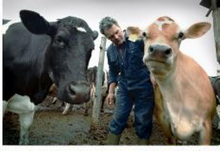 15 personer i Storbritanien har fået blod fra donorer, der senere har vist sig at være smittet med den menneskelige variant af kogalskab. - foto: Morten Langkilde 