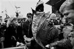 De danske fiskere har i protest uddelt seks tons gratis fisk i København i dag. - Foto: Jacob Ehrbahn 