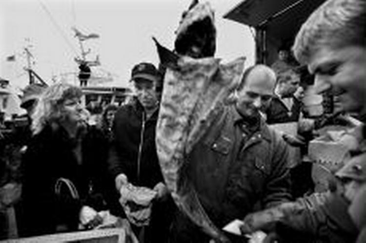De danske fiskere har i protest uddelt seks tons gratis fisk i København i dag. - Foto: Jacob Ehrbahn 