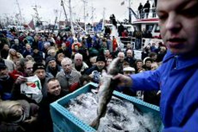 Onsdag delte fiskere gratis torsk ud i København i protest mod kvoterne, der tvinger fiskerne til at smide hver tredje fisk over bord. Nu er vreden vendt til betinget glæde. - Foto: Jacob Ehrbahn. 
