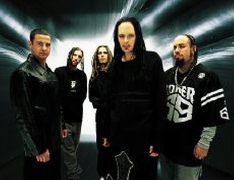 Korn. - Pressefoto 