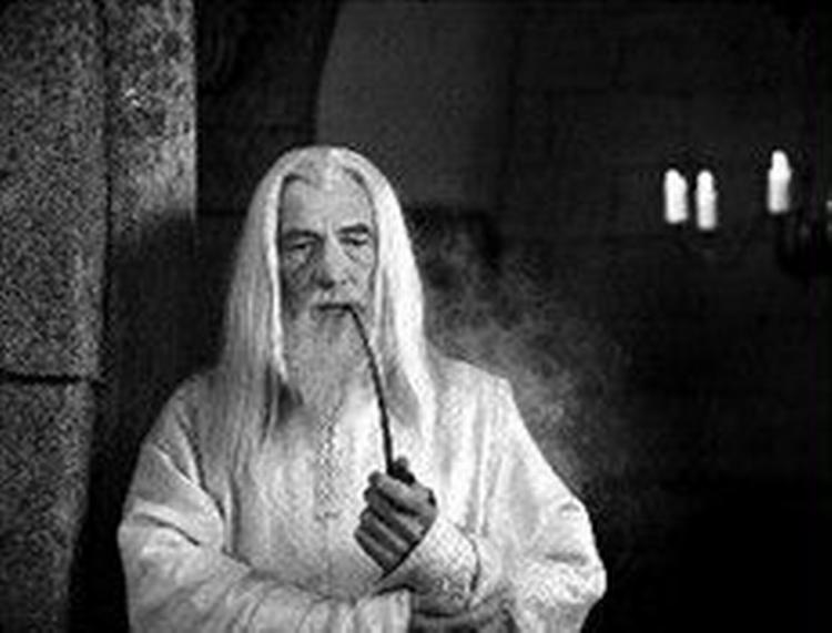 Ian Mckellan har nok også tjent en god slat på sin rolle som Gandalf. - Foto: New Line Cinema 