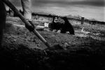 Der tales nu om 60.000 dræbte i området, hvor der før katastrofen boede 250.000 mennesker. - Foto: Jan Grarup 