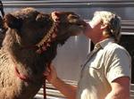 Steve Irwin, her noget uvant med en kamel, er kommet i modvind. - Foto: AP 