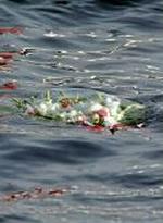 MIDEAST EGYPT PLANE CRASH