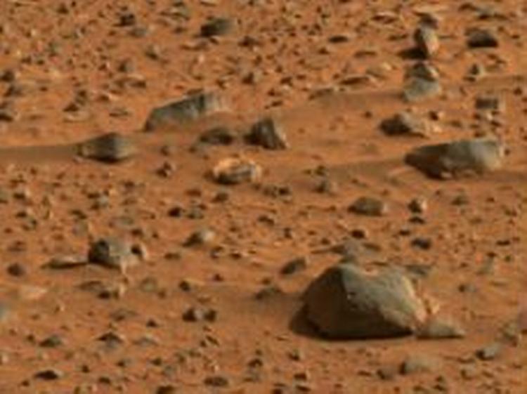 Forskerne har udpeget en forsænkning i terrænet godt 12 meter fra 'Spirit' som det første stykke Mars, der skal udforskes. - Foto: AP 