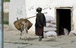 Kun knap 60.000 kvinder er blandt den kvarte million afghanere, der er registererede vælgere. - Foto: AP 