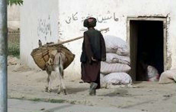 Kun knap 60.000 kvinder er blandt den kvarte million afghanere, der er registererede vælgere. - Foto: AP 