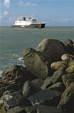 Rødby-Puttgarden er Scandlines  guldæg og en årsag til tvist. Danske medarbejdere i det tysk-danske færgeselskab er stærkt utilfredse med den tyske ledelse.   Foto: René Strandbygaard 