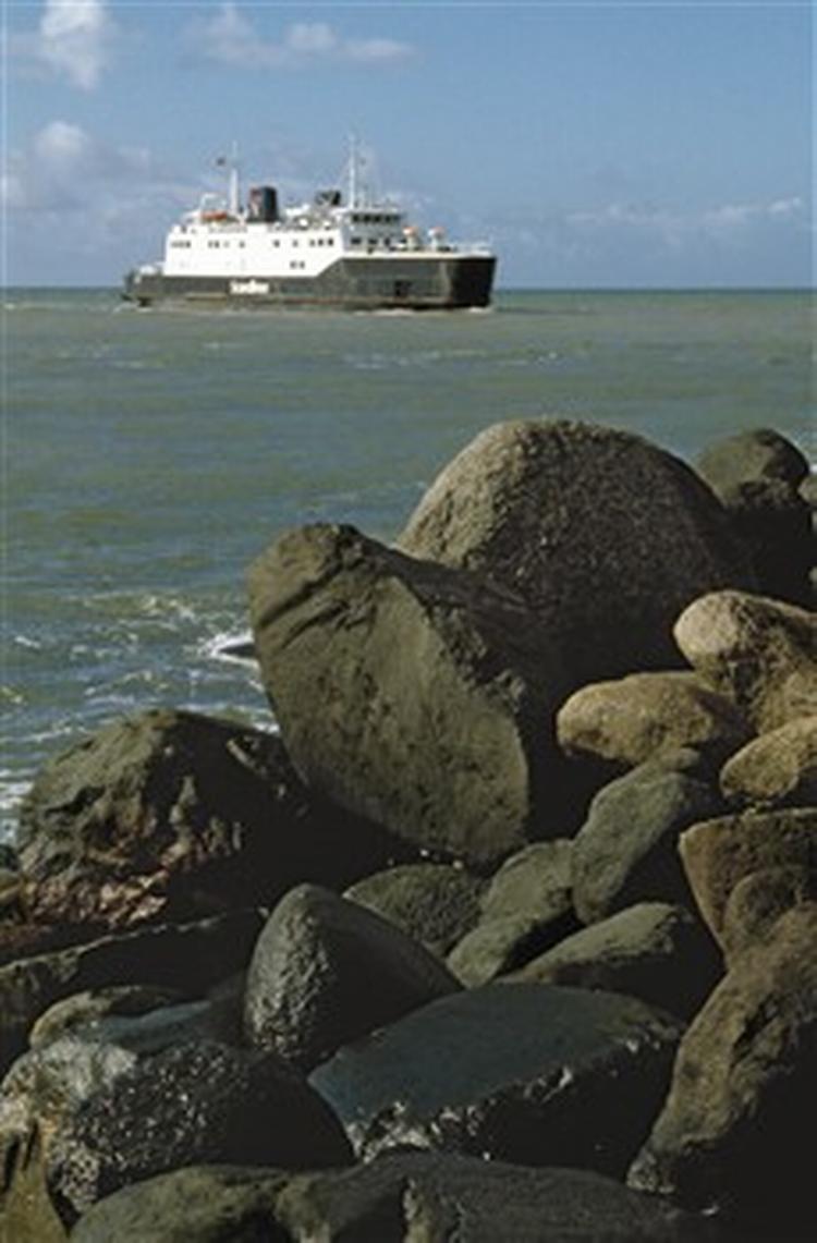 Rødby-Puttgarden er Scandlines  guldæg og en årsag til tvist. Danske medarbejdere i det tysk-danske færgeselskab er stærkt utilfredse med den tyske ledelse.   Foto: René Strandbygaard 