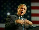 præsident George W. Bush nævner så godt som aldrig de højreekstremister, der tidligere har gennemført angreb i USA. - Foto: AP 