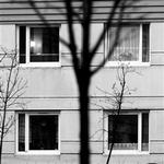 - Foto: Jacob Ehrbahn 