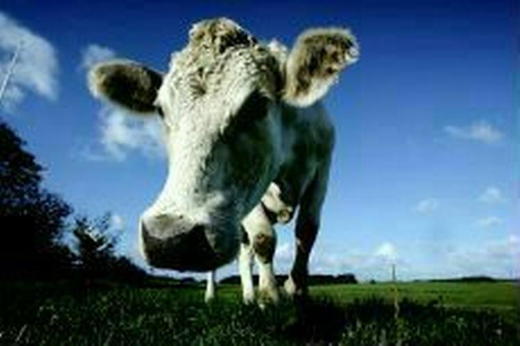 Foto: Jan Grarup 