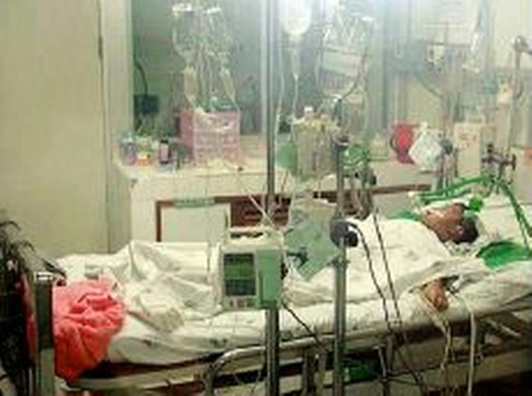 To thailandske drenge er døde af fugleinfluenza. - Foto: AP 