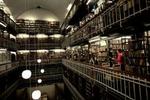 Det Kongelige Bibliotek. - Foto: Jacob Ehrbahn 