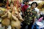 THAILAND BIRD FLU