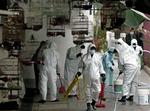 Sundhedsarbejdere rengør en fuglehandel i Hongkong. - Foto: AP 