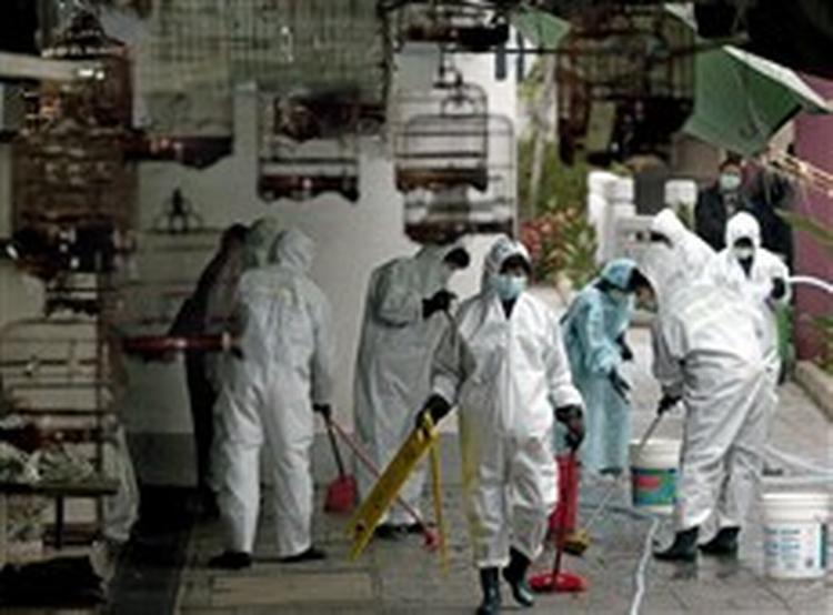 Sundhedsarbejdere rengør en fuglehandel i Hongkong. - Foto: AP 