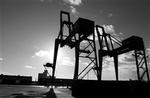 Københavns Havn er en af de mange danske havne, der skal sikre sig mod terrorister. Ellers vil fragtskibe sejle uden om Københavns Havn.   Foto: Jens Dresling 