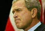 Præsident Bush indledte i går sin valgkamp med et angreb på sine demokratiske modstandere. - Foto: AP 