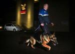 Henrik Thuesen og hunden Rollo på arbejde foran Falck Securitas i Albertslund. - Foto: Jens Dresling 